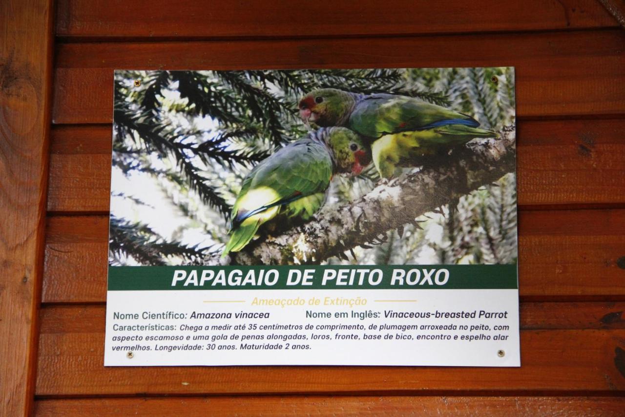Recanto da Mata Hospedaria São Francisco de Paula Esterno foto