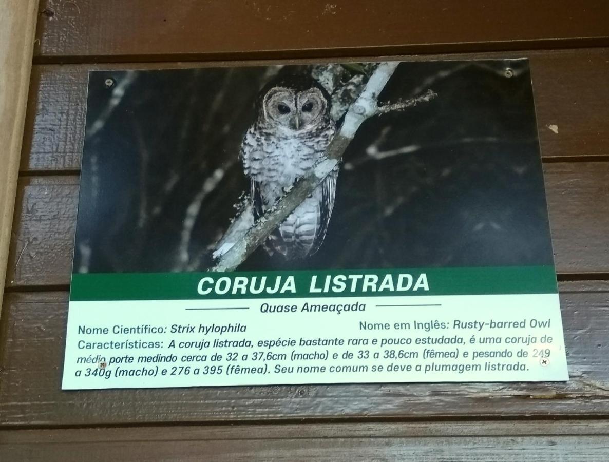 Recanto da Mata Hospedaria São Francisco de Paula Esterno foto
