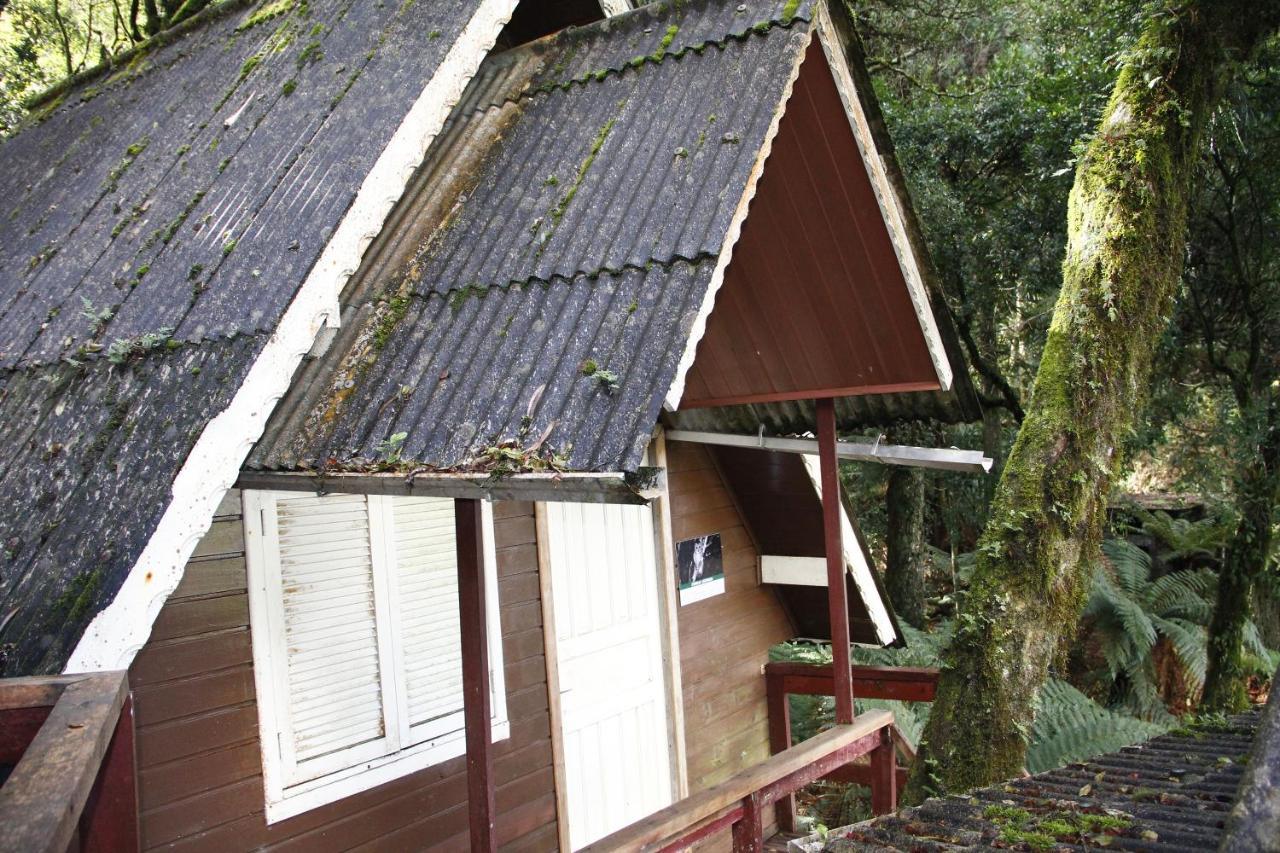 Recanto da Mata Hospedaria São Francisco de Paula Esterno foto
