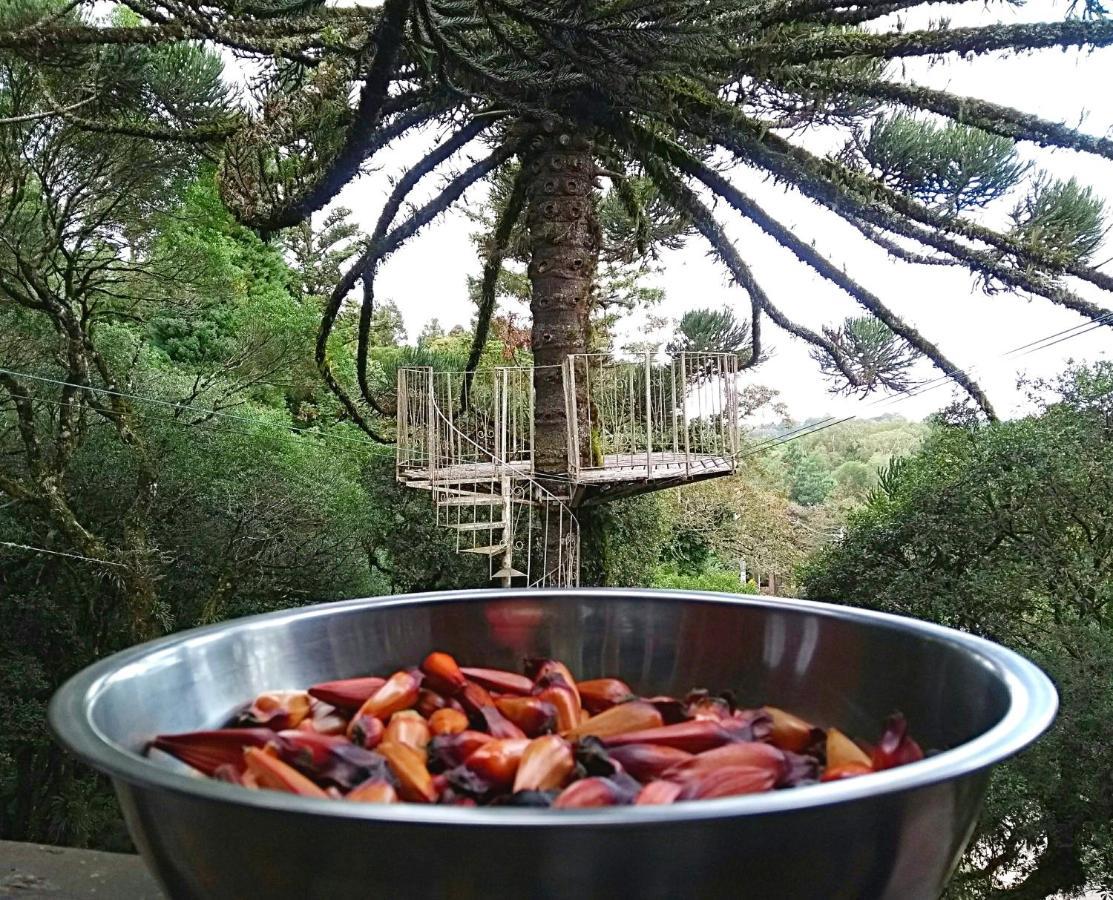 Recanto da Mata Hospedaria São Francisco de Paula Esterno foto