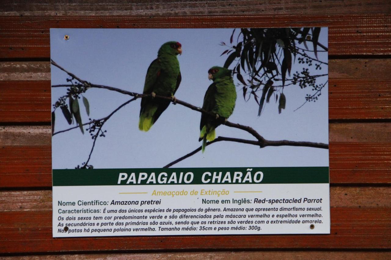 Recanto da Mata Hospedaria São Francisco de Paula Esterno foto