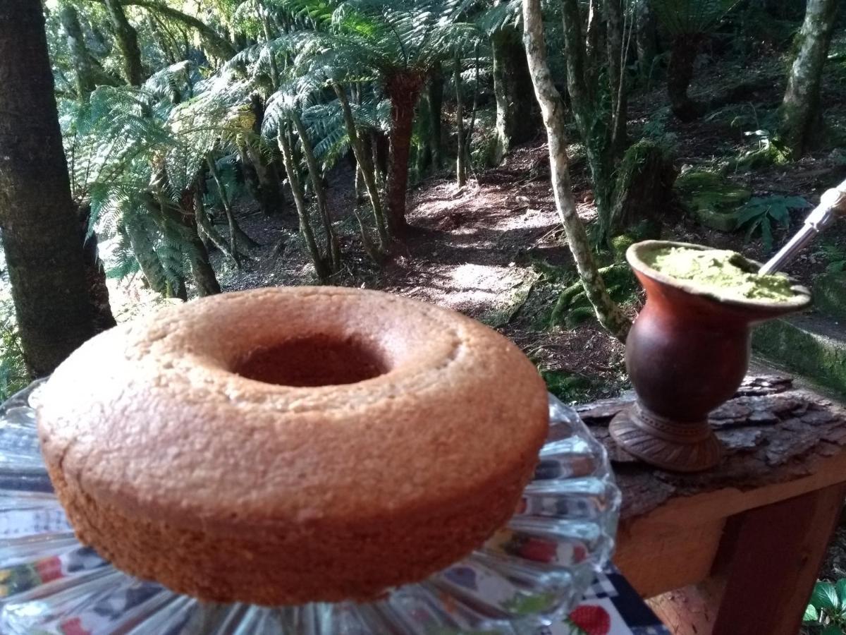 Recanto da Mata Hospedaria São Francisco de Paula Esterno foto