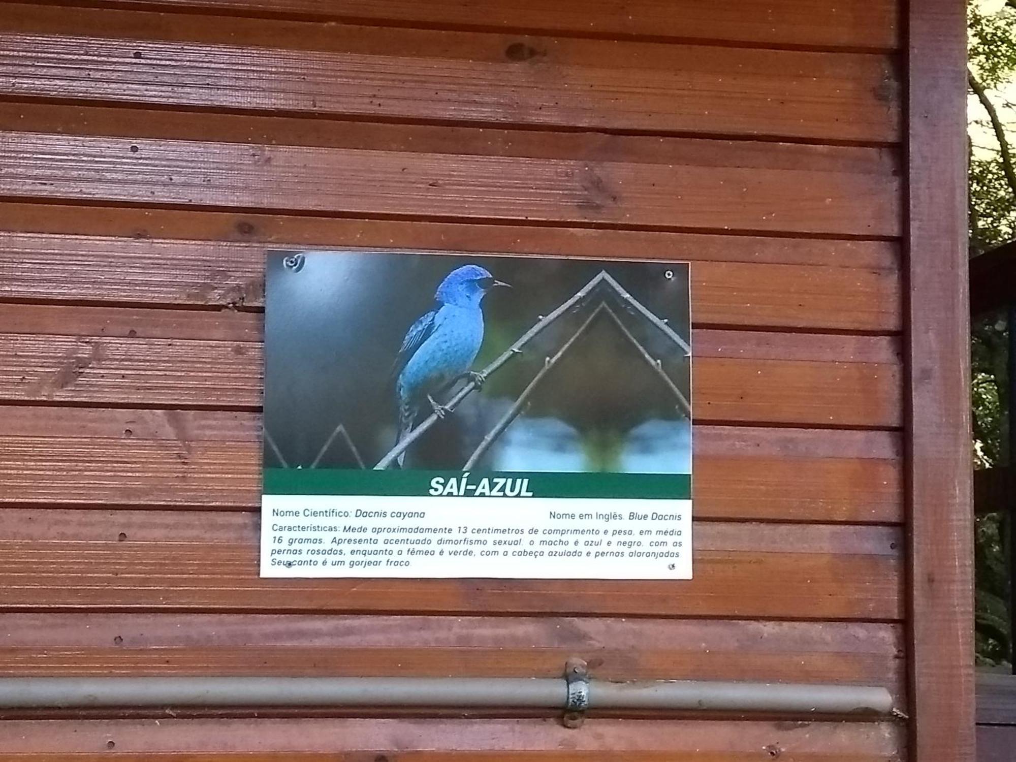 Recanto da Mata Hospedaria São Francisco de Paula Esterno foto